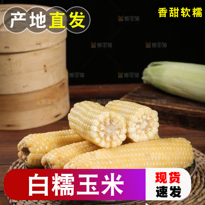 一盘东北白糯玉米