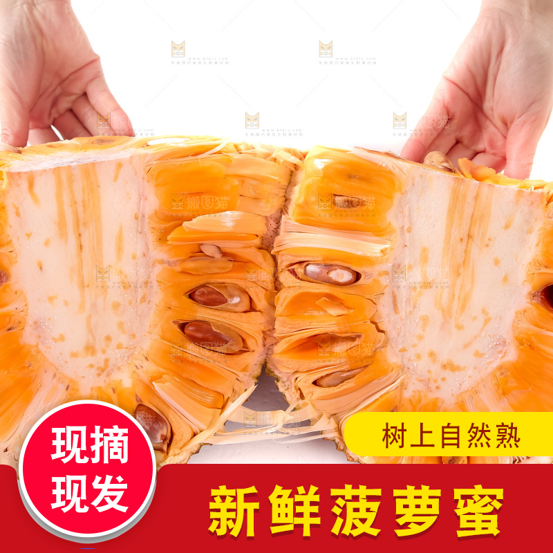 白底上的红肉菠萝蜜