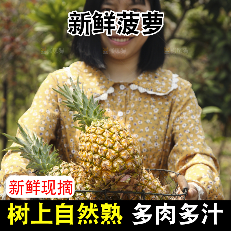 手里端着一篮香水菠萝