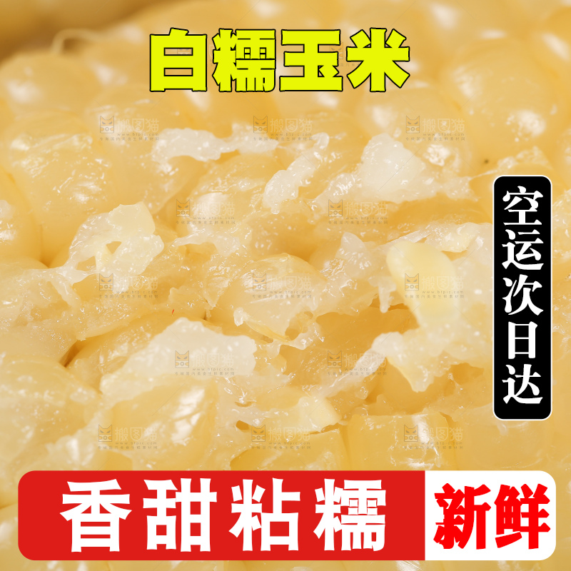 新鲜的白糯玉米