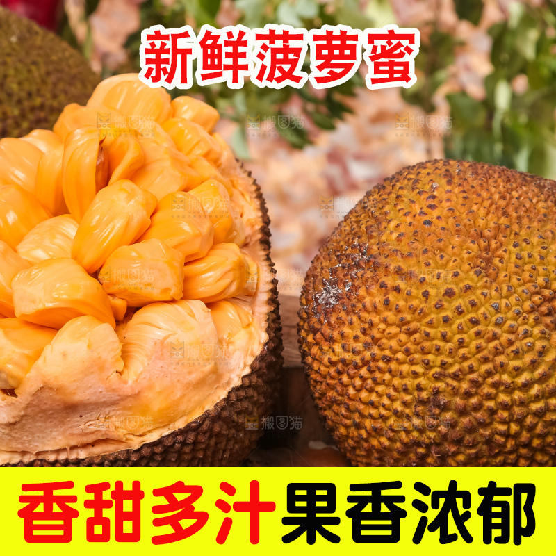木底上的泰国红肉菠萝蜜