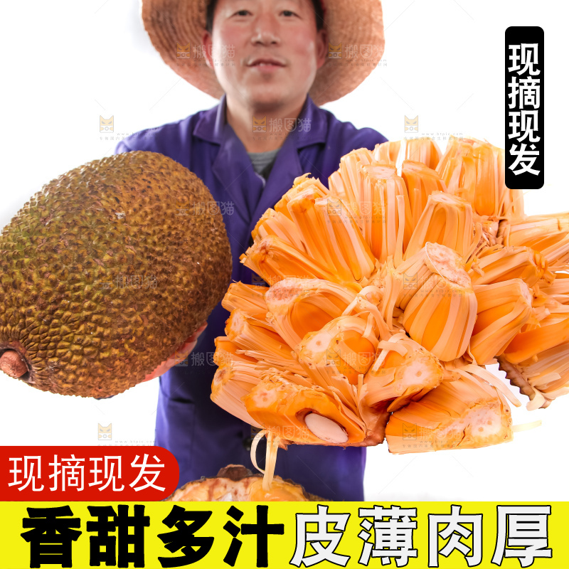 手里拿着进口红肉菠萝蜜