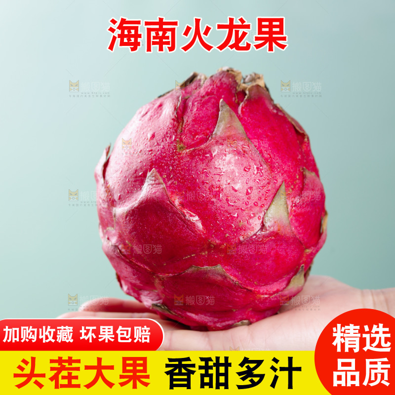 手里拿着火龙果