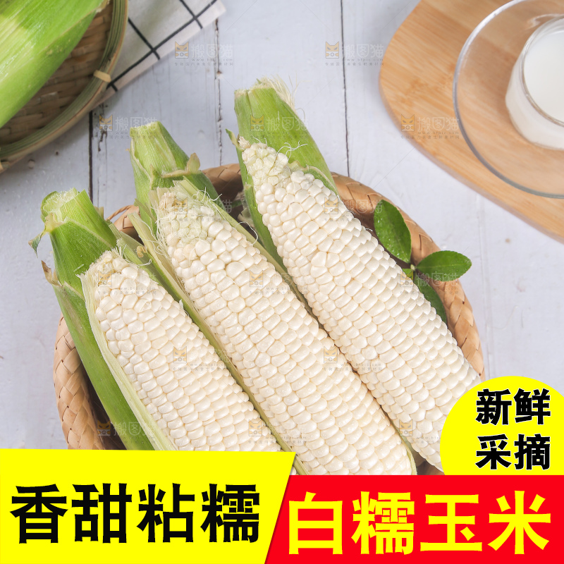 一篮新鲜白糯玉米