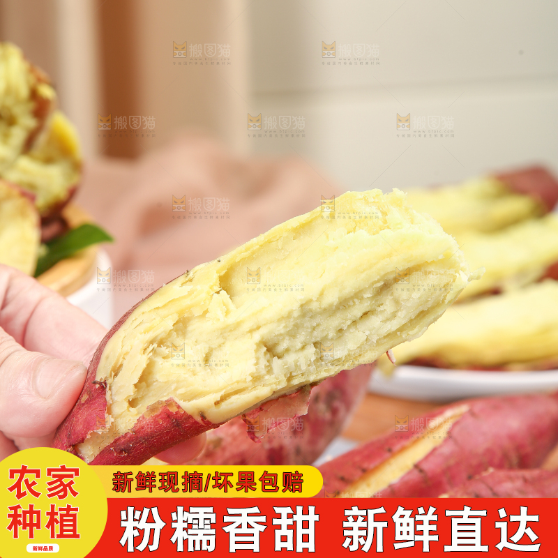 手里拿着板栗薯