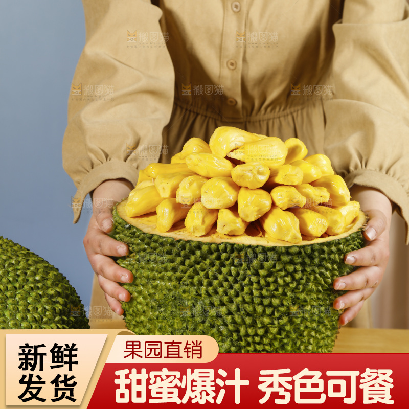 手里抱着海南黄肉菠萝蜜