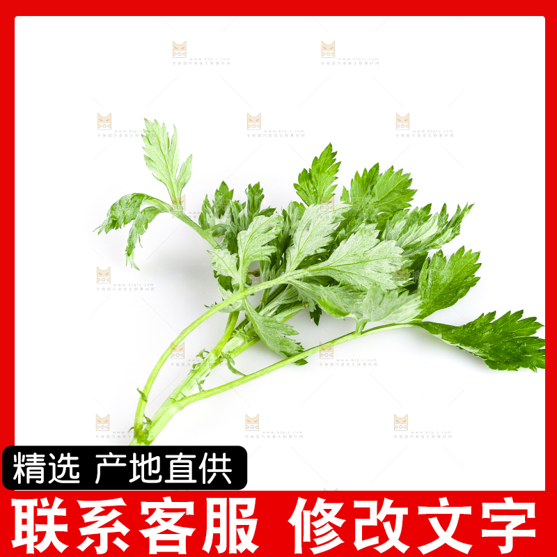 白底上放着艾草叶