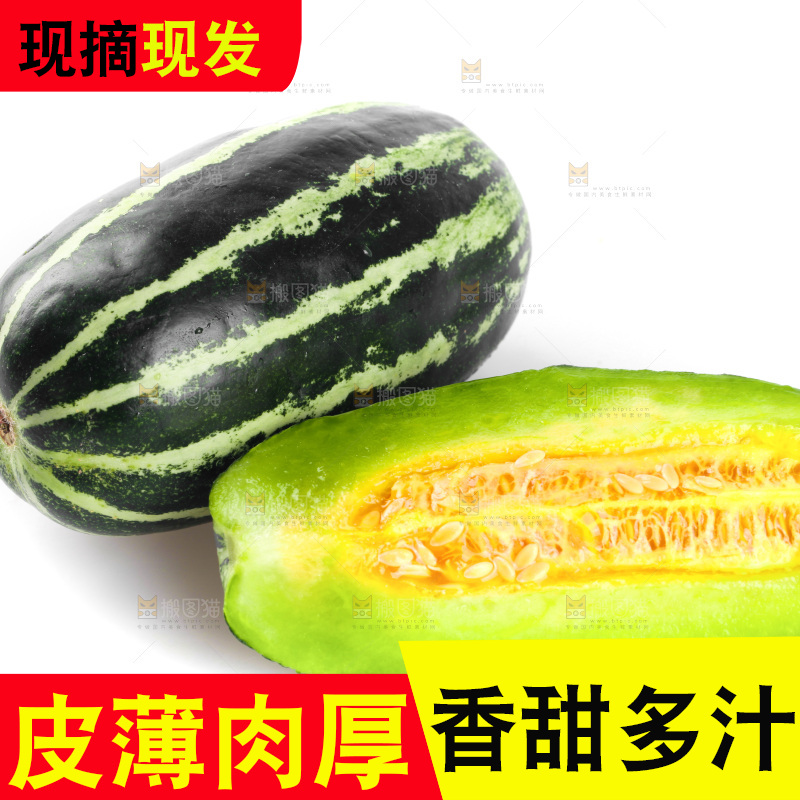 一堆新鲜博洋9号