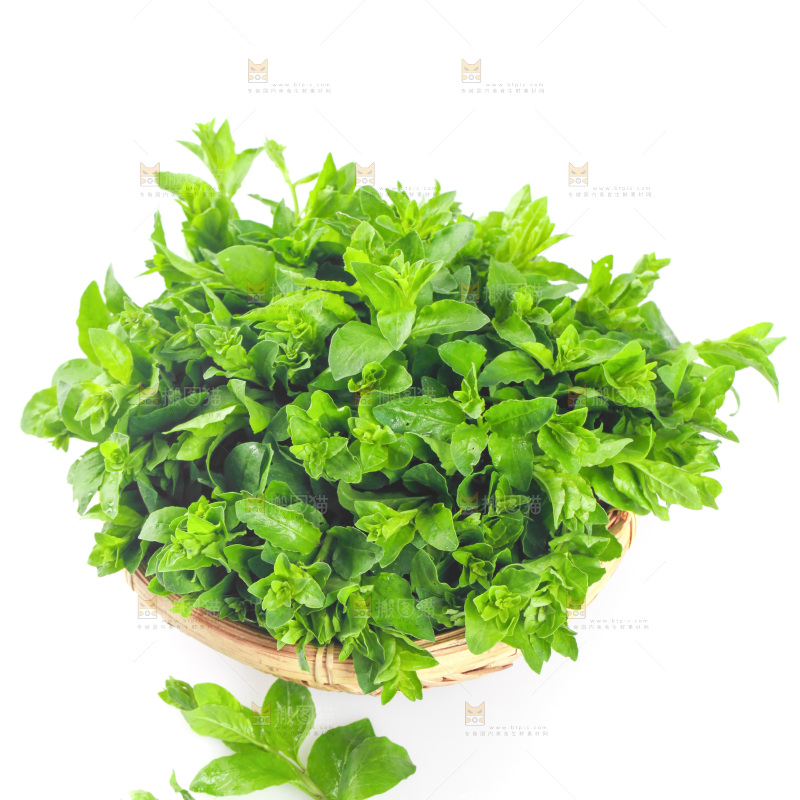 一篮枸杞菜