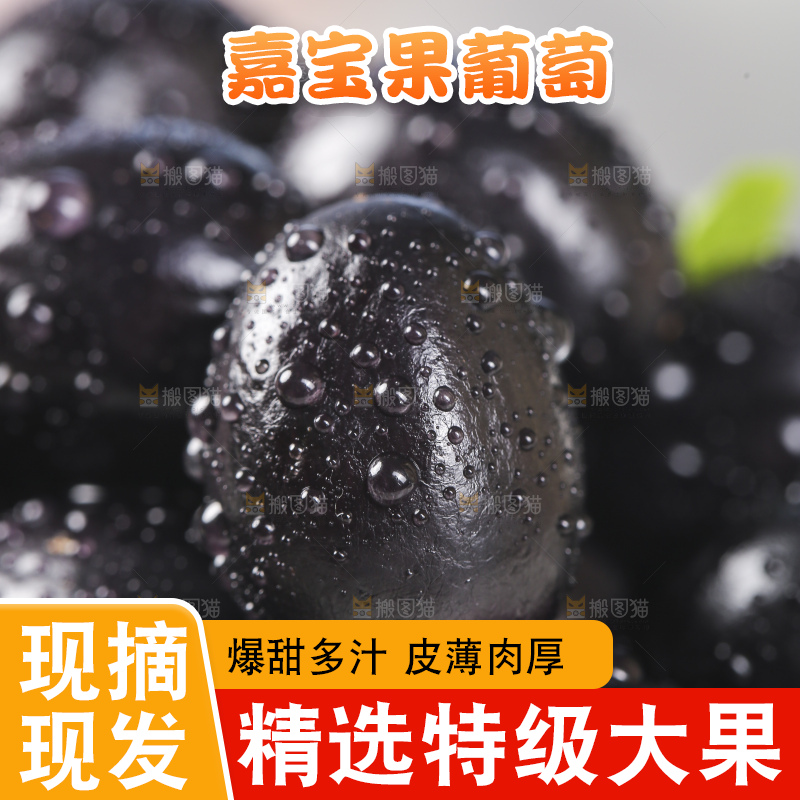一堆台湾嘉宝果