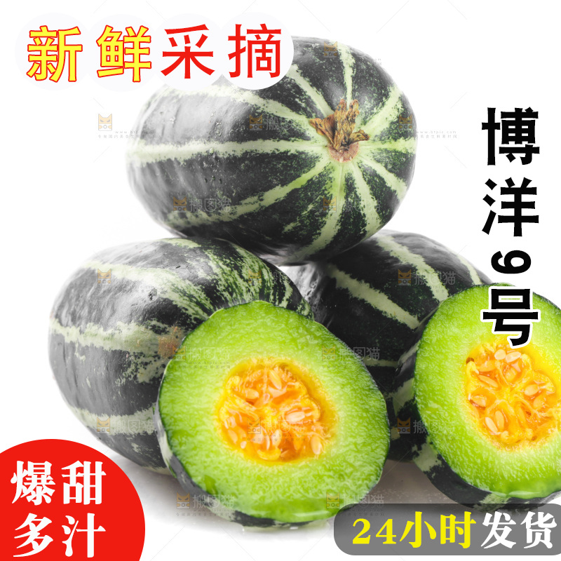 白底上放着一堆博洋9号甜瓜