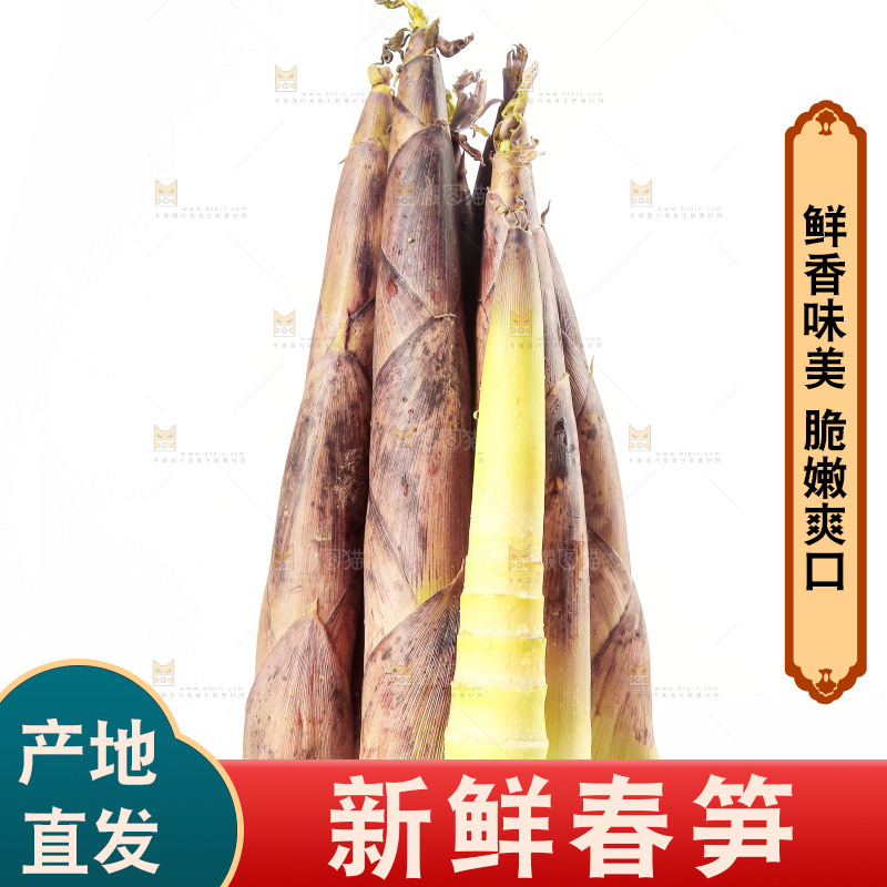 白底上放着一堆春笋