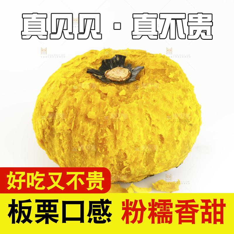 白底上的贝贝小南瓜