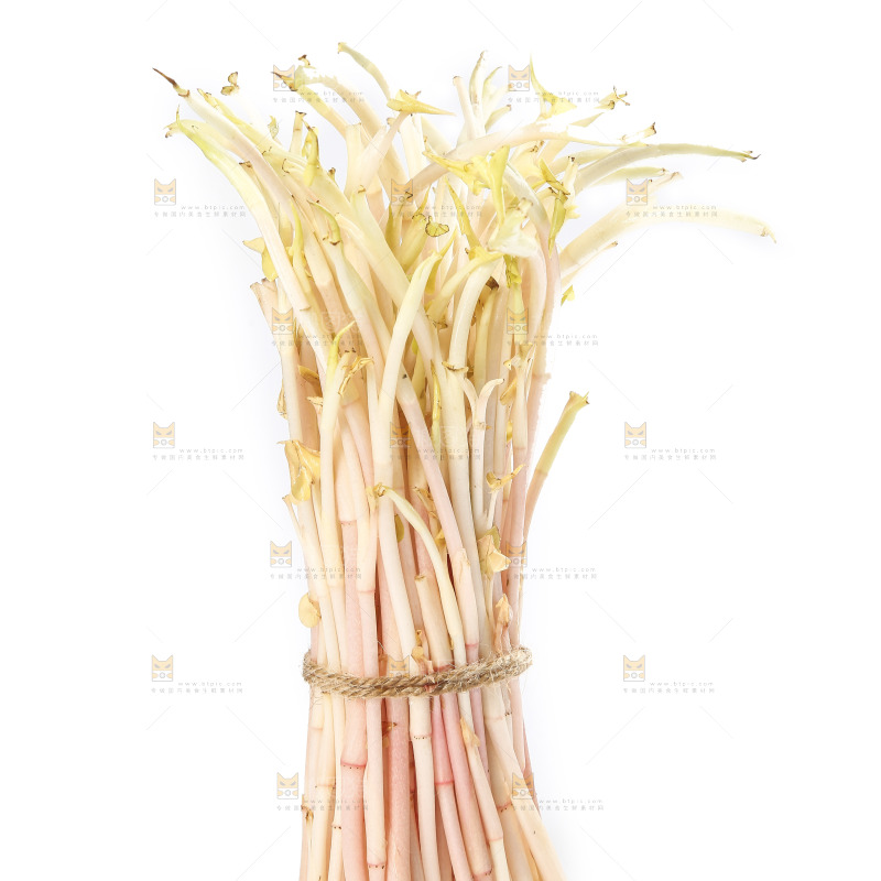 白底上的鱼腥草嫩芽