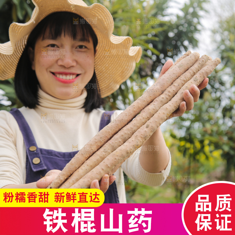 手里拿着山药