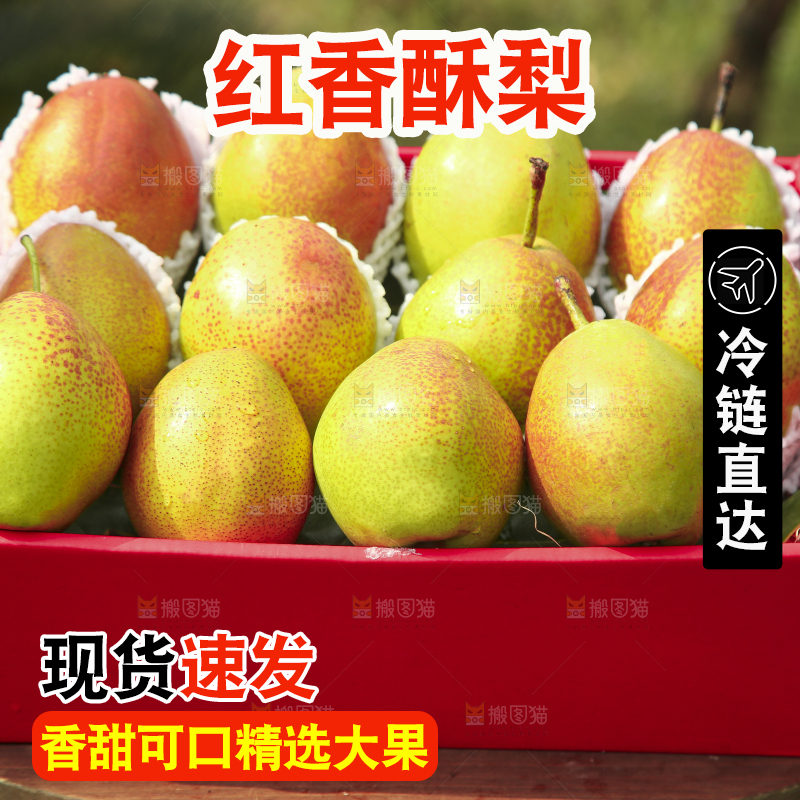 一箱红香酥梨
