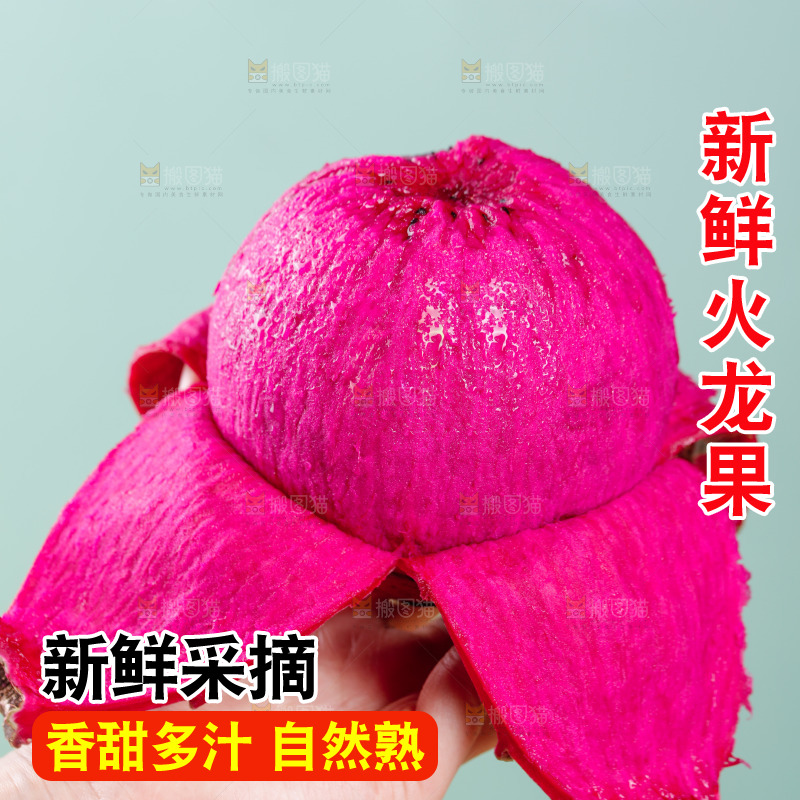 手里拿着金都一号