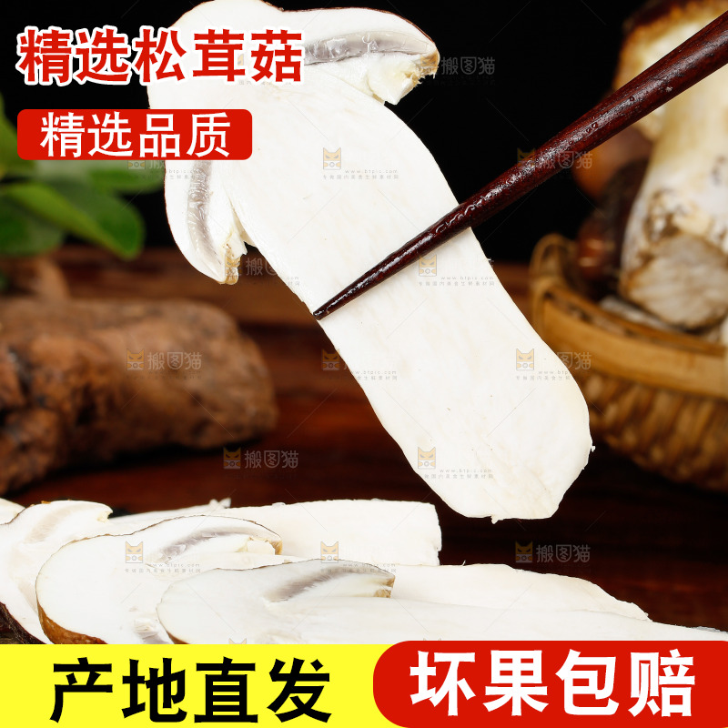 筷子上夹着松茸