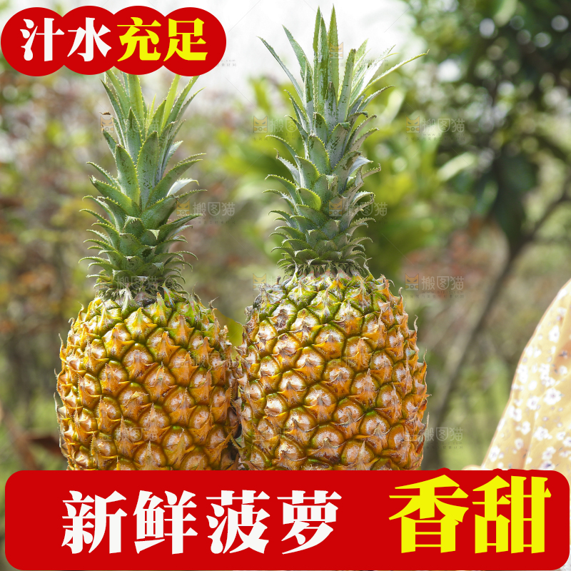 手里拿着菠萝