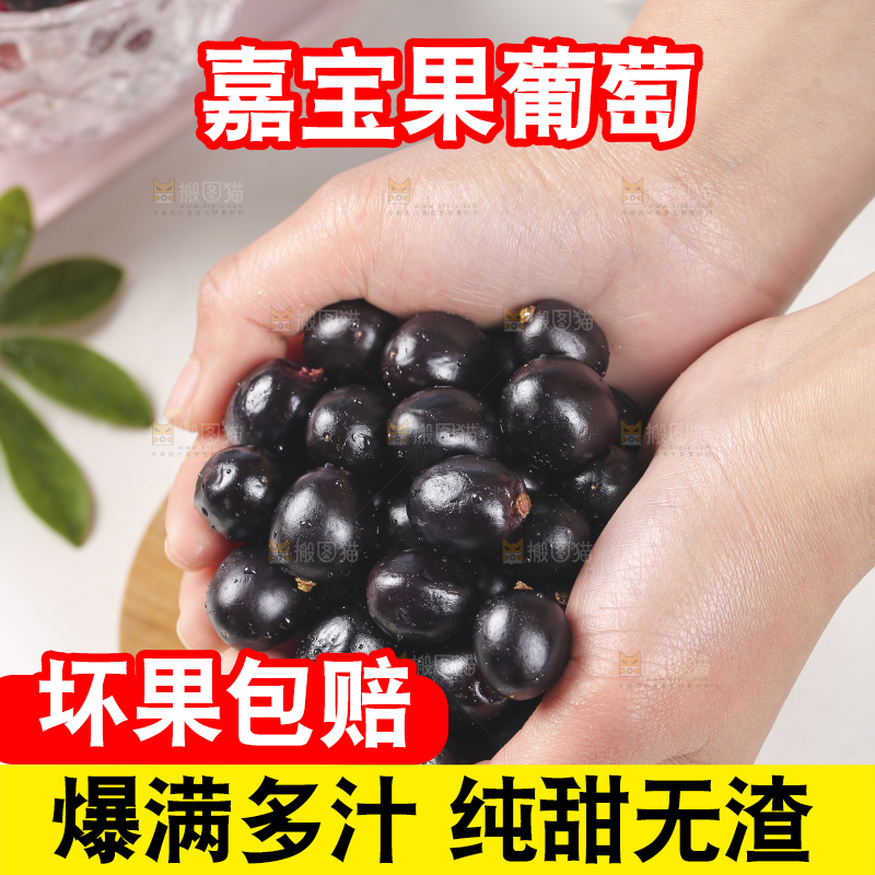 手里捧着嘉宝果
