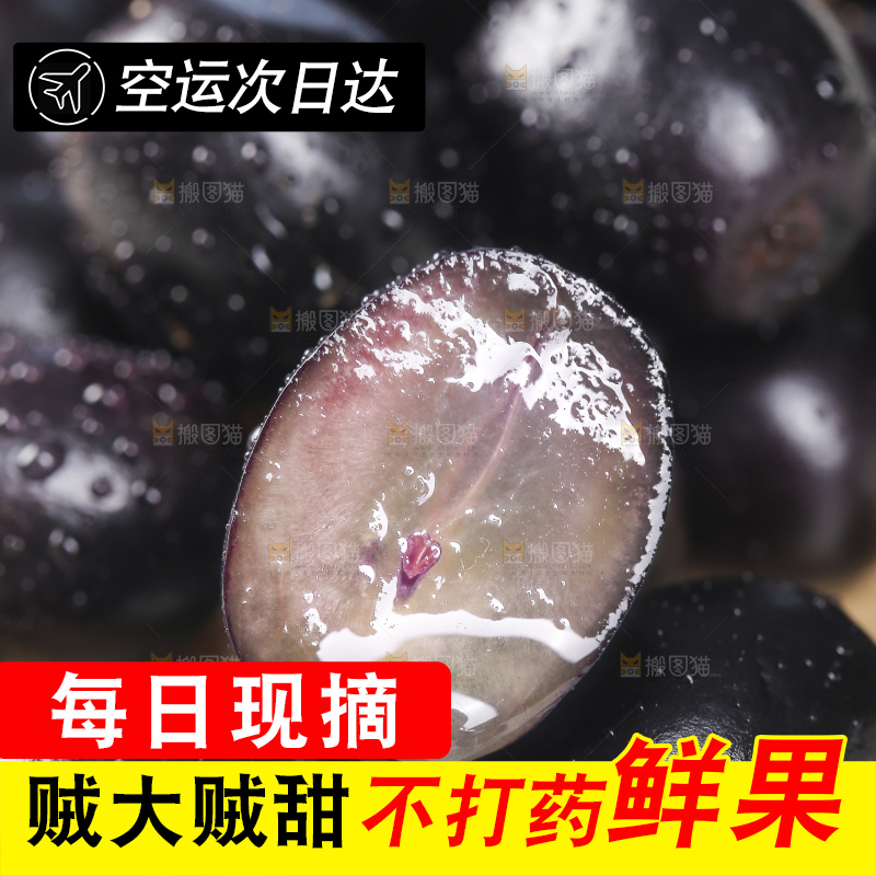 新鲜的嘉宝果树葡萄