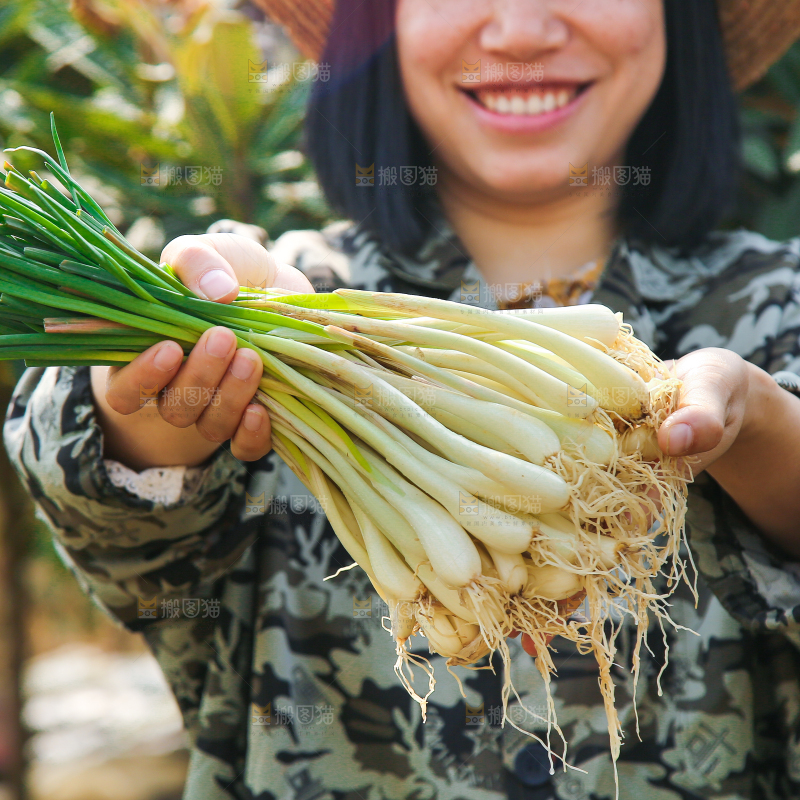 手里拿着荞头