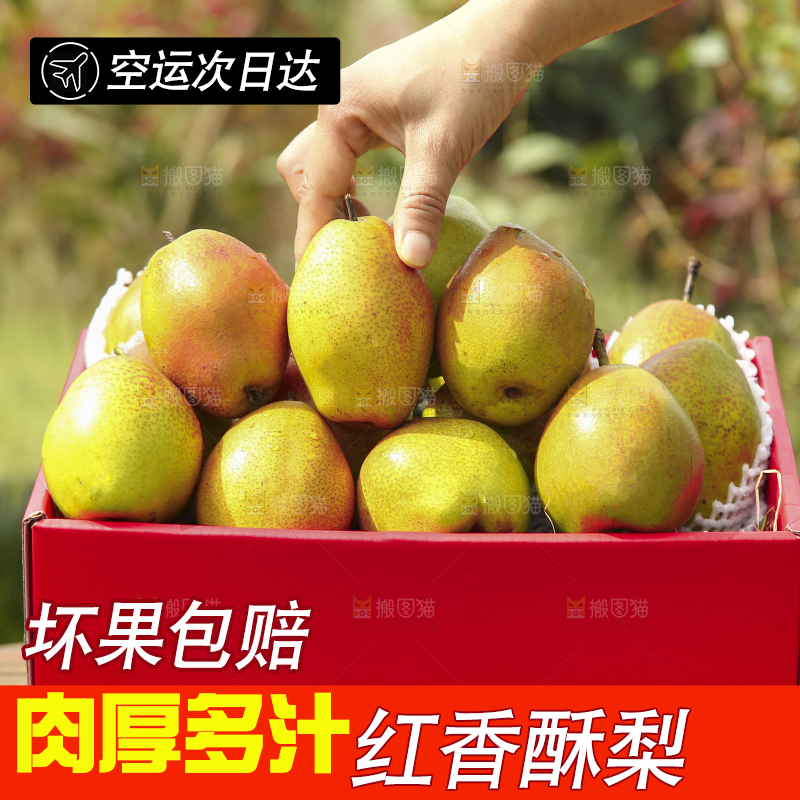 一箱红香酥梨