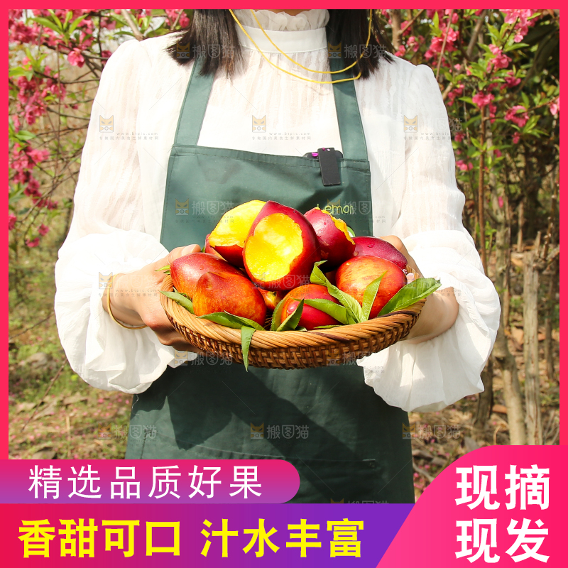 手里端着一篮桃驳李