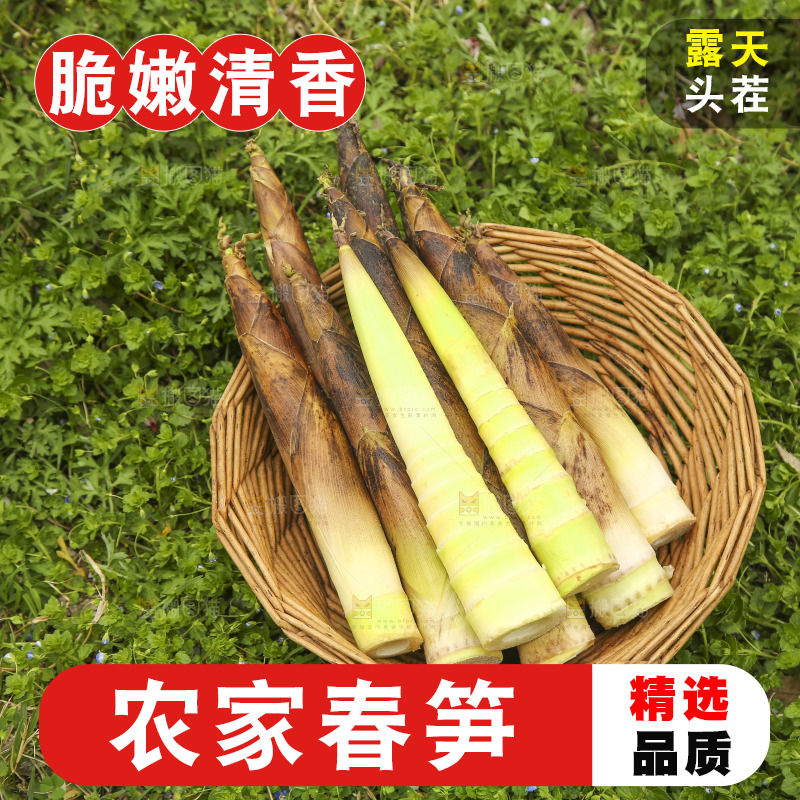 一篮临安春雷笋