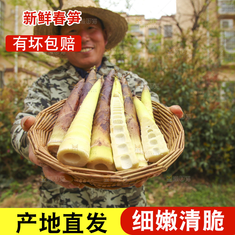手里端着一篮春笋
