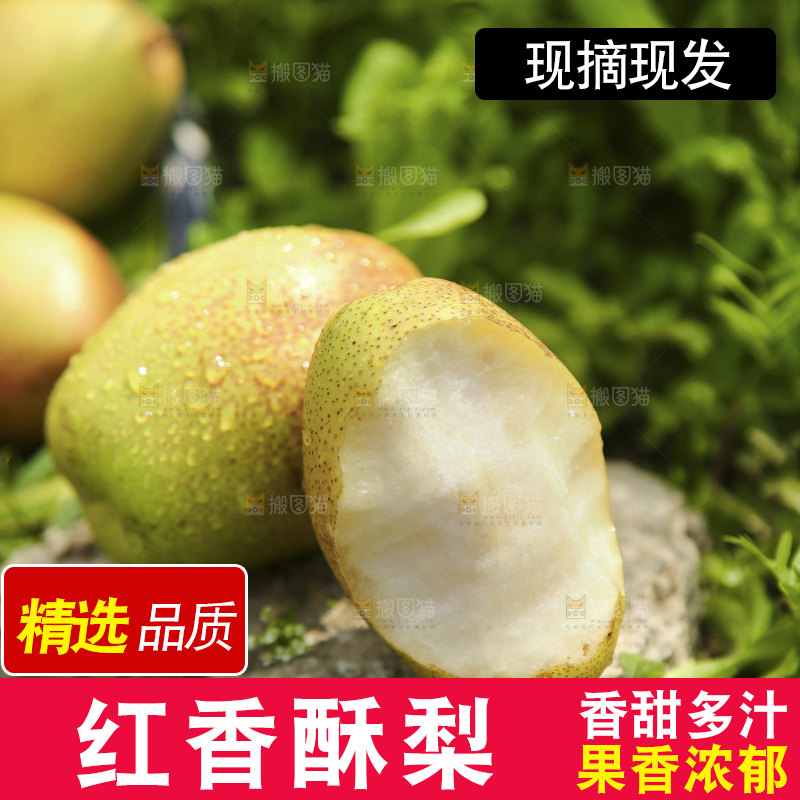 新鲜的红香酥梨