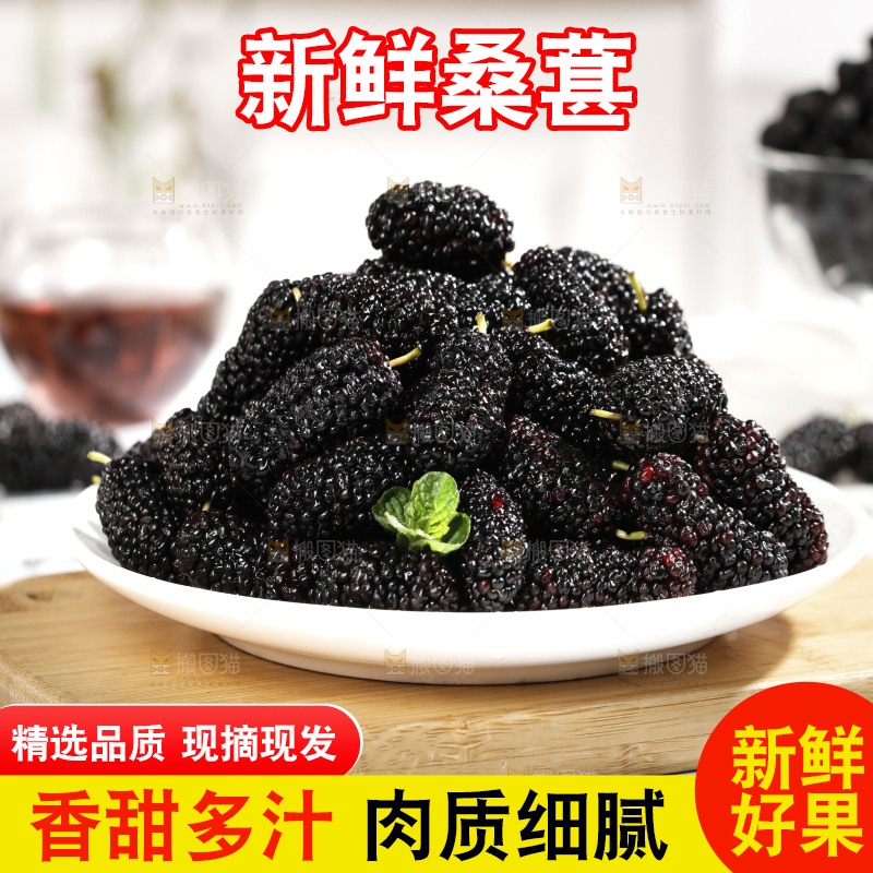 一盘新鲜桑葚