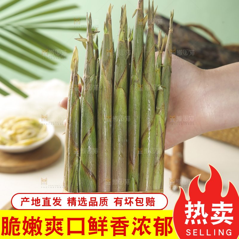 手里拿着小春笋