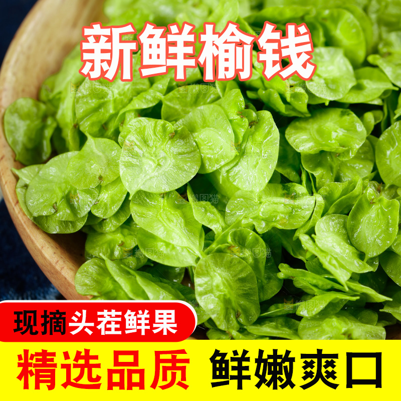 一盘榆钱
