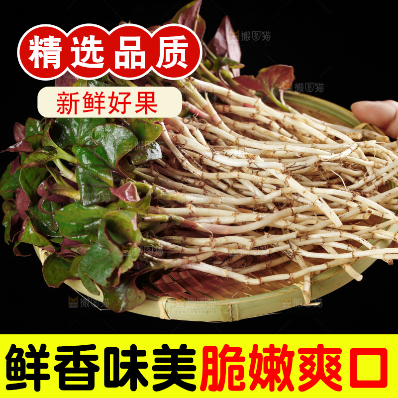 手里端着一篮鱼腥草