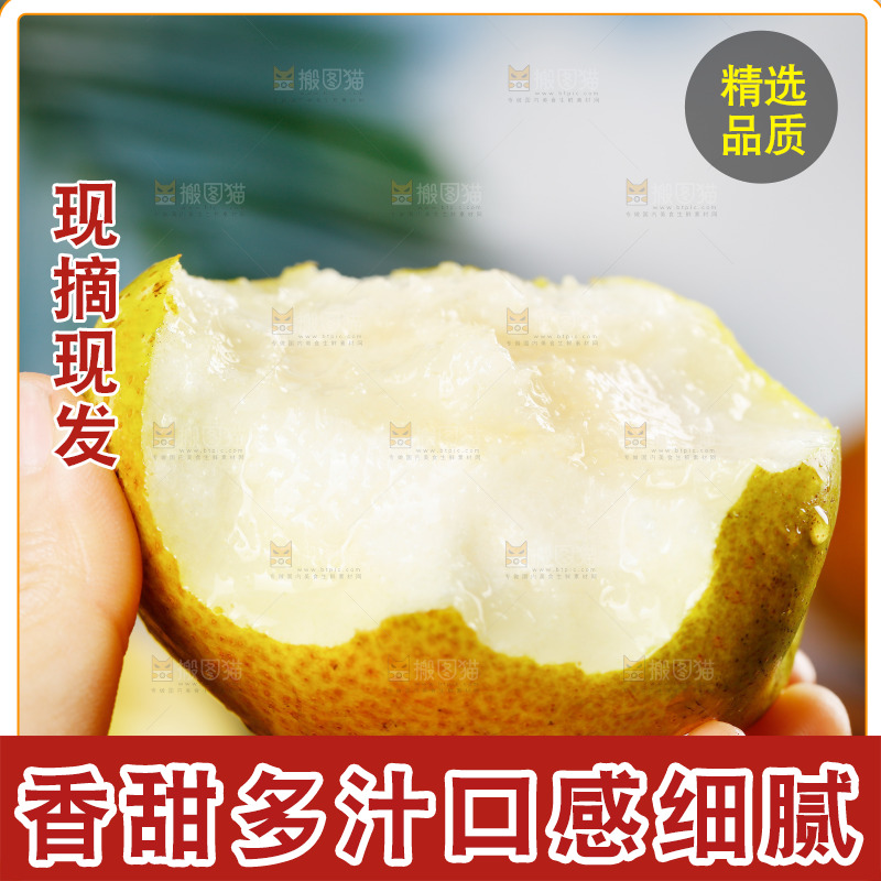 手里拿着红酥梨