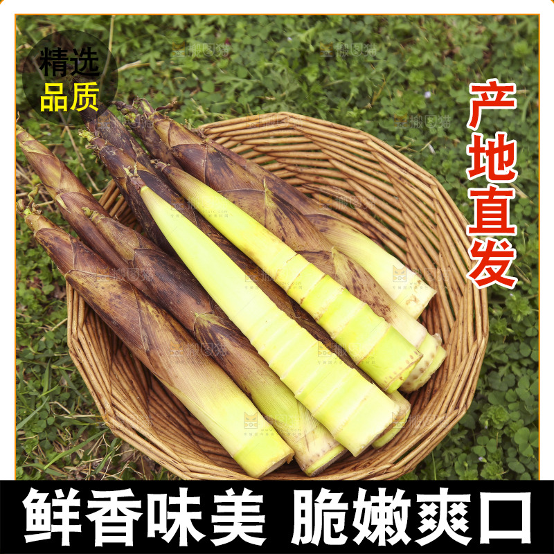 一篮临安春雷笋