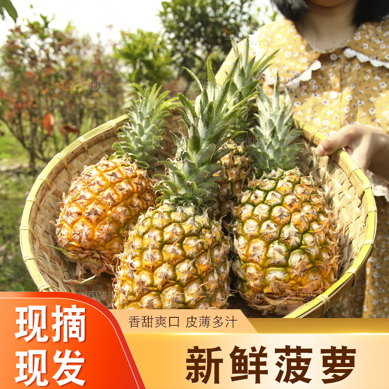 一篮新鲜菠萝