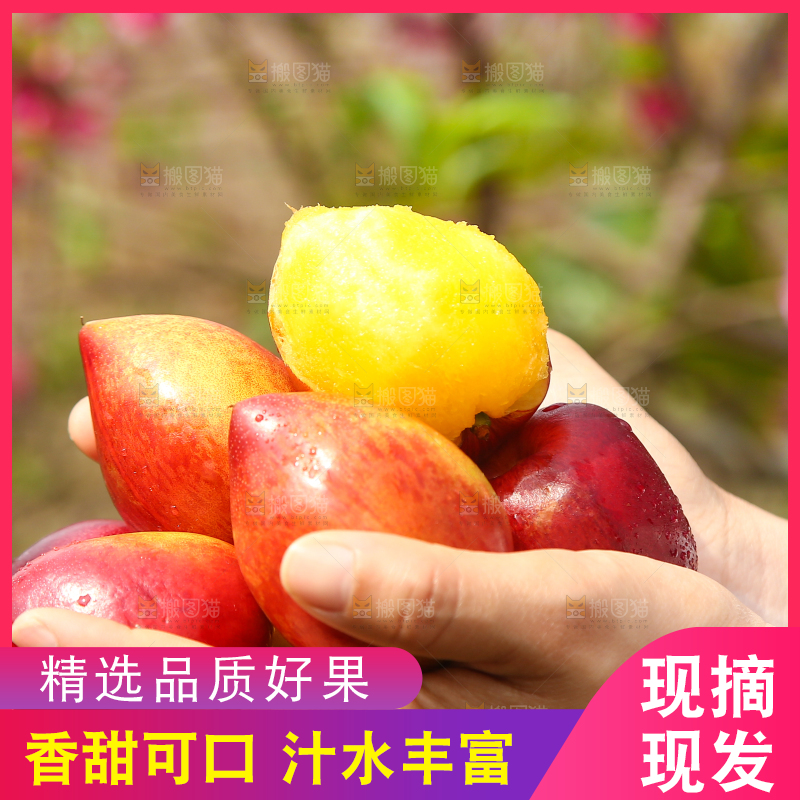 手里捧着新鲜桃驳李