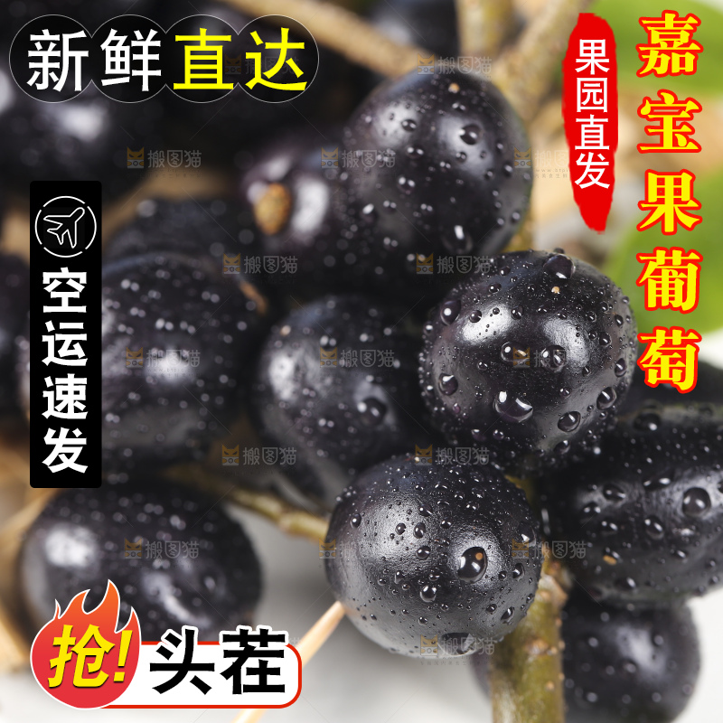 新鲜的嘉宝果树葡萄