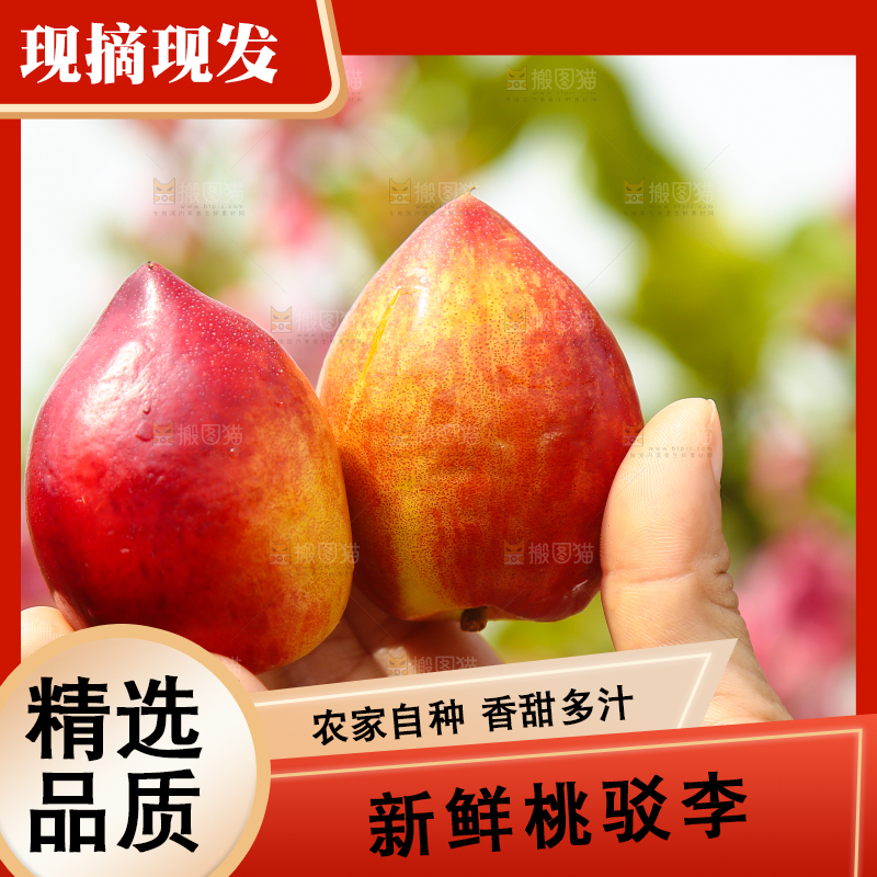 手里拿着油桃