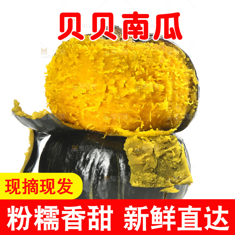 白底上的贝贝小南瓜