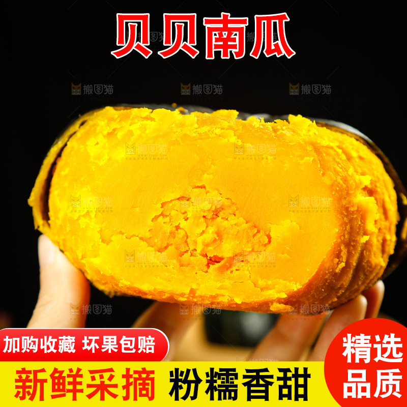 手里拿着贝贝南瓜