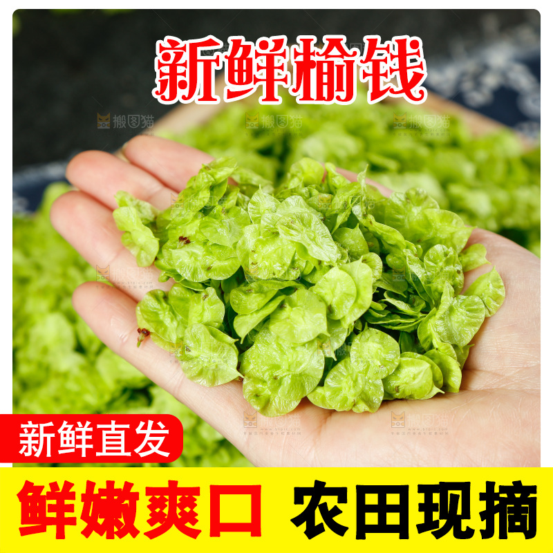 手里拿着榆钱