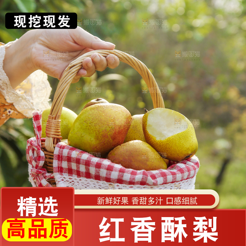 一篮新鲜红香酥梨