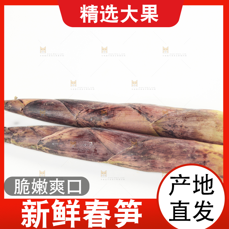 白底上摆放着春雷笋