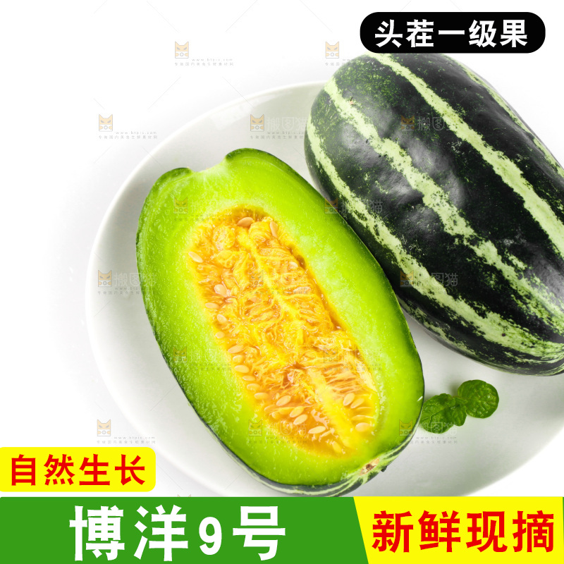 盘子里装着博洋9号