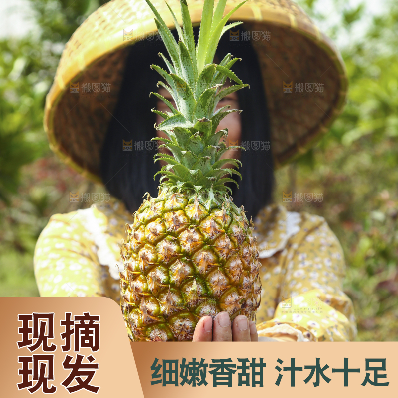 手里拿着菠萝