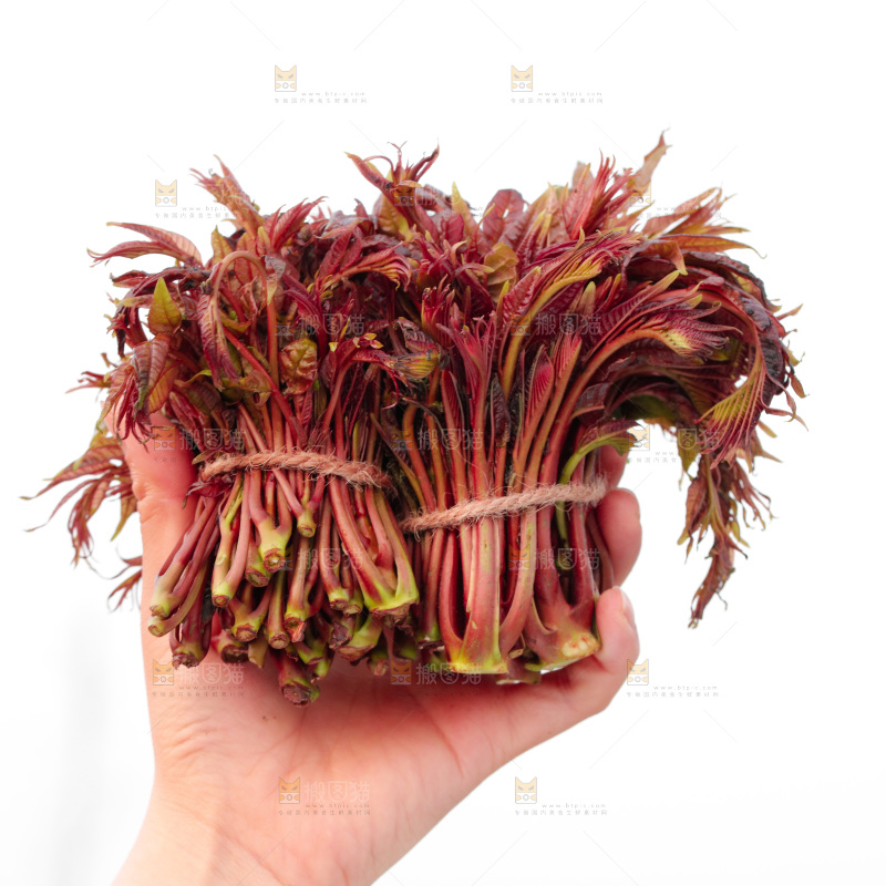 手里拿着红油香椿芽