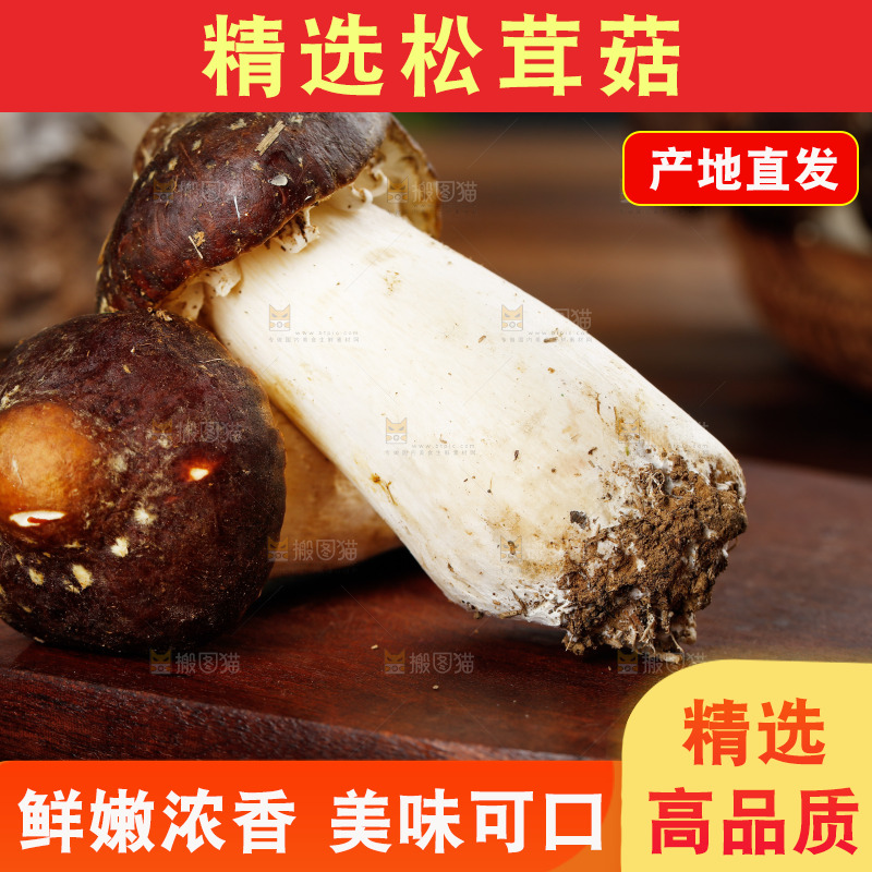 木板上放着松茸菇
